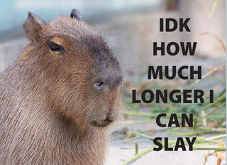 How Much Longer Capybara Magnet