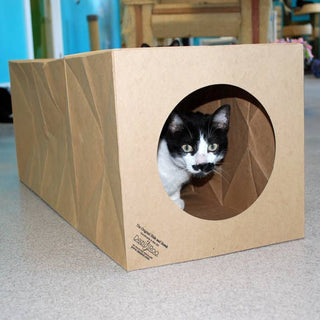 Hide and Sneak Cat Play Tunnel