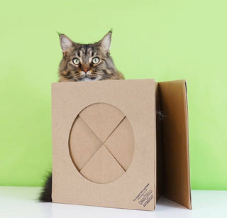 Hide and Sneak Cat Play Tunnel